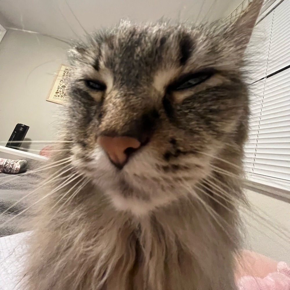 Meet your Posher, Brianna